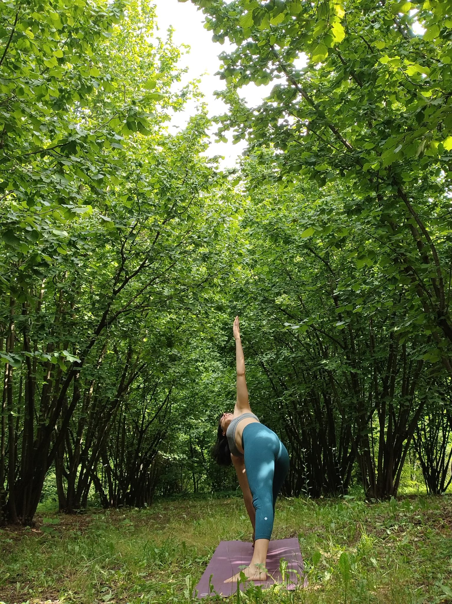 <span  class="uc_style_uc_tiles_grid_image_elementor_uc_items_attribute_title" style="color:#ffffff;">Yoga Biella - Alice Kundalini</span>